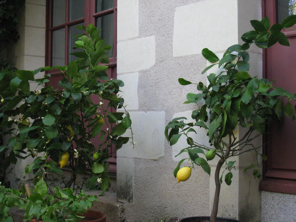 ボープロー Le Logis Des Tourelles Bed & Breakfast エクステリア 写真